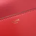 CELINE 2024 new handbag #B34799