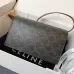 CELINE 2024 new handbag #B34800