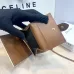 Celine Leather Wallet with Triomphe Closure #B46184