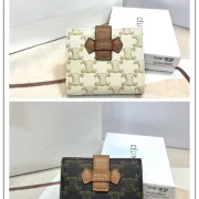 Celine Leather Wallet with Triomphe Closure #B46184