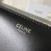Celine Teen Triomphe Bag shiny calfskin Black/brown #A69299