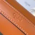 Celine Teen Triomphe Bag shiny calfskin Black/brown #A69299