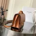 Celine Teen Triomphe Bag shiny calfskin Black/brown #A69299