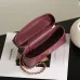 Chanel 5346 Small Vanity Bag Crocodile Embossed Calfskin Gold Chain 19cm #A67472