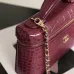Chanel 5346 Small Vanity Bag Crocodile Embossed Calfskin Gold Chain 19cm #A67472