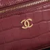 Chanel 5346 Small Vanity Bag Crocodile Embossed Calfskin Gold Chain 19cm #A67472