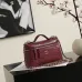Chanel 5346 Small Vanity Bag Crocodile Embossed Calfskin Gold Chain 19cm #A67472