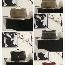 Chanel 5346 Small Vanity Bag Crocodile Embossed Calfskin Gold Chain 19cm #A67472