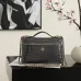 Chanel 5347 Medium Vanity Bag Crocodile Embossed Calfskin Gold Chain 23cm #A67471