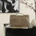 Chanel 5347 Medium Vanity Bag Crocodile Embossed Calfskin Gold Chain 23cm #A67471