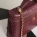 Chanel 5347 Medium Vanity Bag Crocodile Embossed Calfskin Gold Chain 23cm #A67471