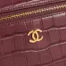 Chanel 5347 Medium Vanity Bag Crocodile Embossed Calfskin Gold Chain 23cm #A67471