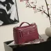 Chanel 5347 Medium Vanity Bag Crocodile Embossed Calfskin Gold Chain 23cm #A67471