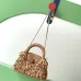 Chanel AS4416 Raffia Tassel Mini Top Handle Bag Gold CC Chain Crossbody Handbag #B65966