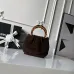 Chanel AS6022 Suede Bucket Bag with Tortoise Handle 18x24x12cm #B64999