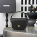Chanel Croc Leather Mini Handle Hobo Bag 6424 #B67267