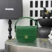 Chanel Croc Leather Mini Handle Hobo Bag 6424 #B67267