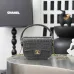 Chanel Croc Leather Mini Handle Hobo Bag 6424 #B67267