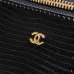 Chanel LP Box Bag Lizard Embossed Calfskin Gold Zipper Handbag AP5285, 17-19.5-5 cm #A67469