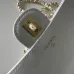 Chanel Lambskin Chain Clutch AP5380 25×9.5×5cm #B67238