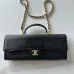 Chanel Lizard Chain Clutch AP5370 25×9.5×5cm #B67255