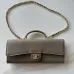 Chanel Lizard Chain Clutch AP5370 25×9.5×5cm #B67255