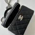 Chanel New Black Gold Cosmetic Bag #B50301