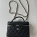 Chanel New Black Gold Cosmetic Bag #B50301