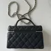 Chanel New Black Gold Cosmetic Bag #B50301