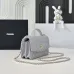 Wallet on chain - Shiny grained calfskin & silver-tone metal #B48992
