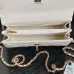 Wallet on chain - Shiny grained calfskin & silver-tone metal #B48992