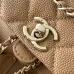 Chanel Duma Backpack Caviar Leather Gold Hardware #B48976