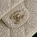 Chanel Evening bag, Strass, silver-tone metal #B49927