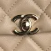 Chanel Small Flap Bag #B49926