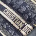 Christian Dior Diorcamp Messenger Bag Oblique Canva #B49966