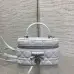 Dior Cannage Vanity Makeup Bag with Handle 5836 #B66147