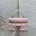 Dior Cannage Vanity Makeup Bag with Handle 5836 #B66147