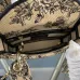 Dior Handbags Lady D-Lite CHRISTIAN DIOR PARIS size:17×15×7cm #B53653