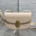 Dior Medaillon Leather Crossbody Saddle Bag 3922 23×16×6.5cm #A69543