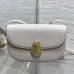 Dior Medaillon Leather Crossbody Saddle Bag 3922 23×16×6.5cm #A69543