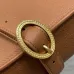 Dior Medaillon Leather Crossbody Saddle Bag 3922 23×16×6.5cm #A69543