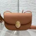 Dior Medaillon Leather Crossbody Saddle Bag 3922 23×16×6.5cm #A69543