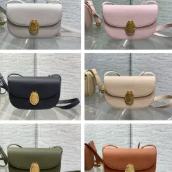 Dior Medaillon Leather Crossbody Saddle Bag 3922 23×16×6.5cm #A69543