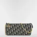 Dior Montaigne Chain Handbag #B66814