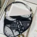 Dior Oblique Saddle Bag #99912735