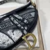 Dior Oblique Saddle Bag #99912735