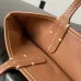 Goyard The mini bag  leather version  iconic Saint Louis bag  Mini  Bag #B59346