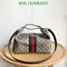Gucci Handbags Model 857799 #B67406
