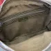 Gucci 795479 GG Canvas Crossbody Bag with Web Strap #B61853