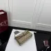 Gucci Dionysus GG Canvas Chain Crossbody 876531 #B66151